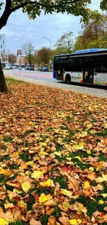 Vibrant autumn leaves with a city bus in the background, capturing fall essence.