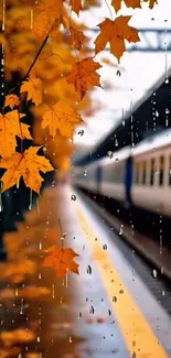 Raindrops on orange autumn leaves by a train station