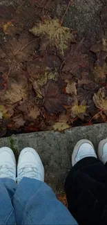 Two pairs of sneakers on autumn leaves.