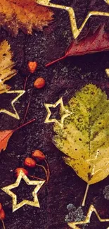 Autumn leaves with star pattern on a dark background.