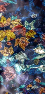 Autumn leaves wallpaper with vibrant colors on a dark background.