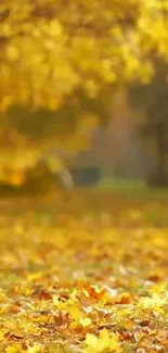 Golden autumn leaves carpet a serene forest path.