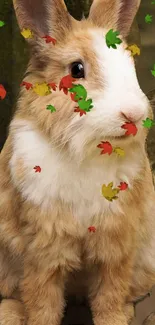 Fluffy brown rabbit with colorful autumn leaves on a mobile wallpaper.