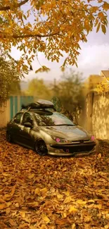 Car parked amidst golden autumn leaves.