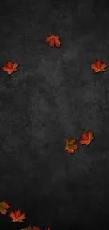 Autumn leaves on dark background with rustic bucket.