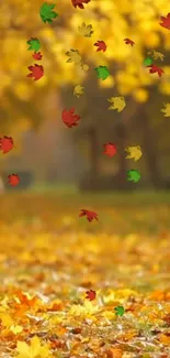 Falling autumn leaves on a golden field with vibrant colors.