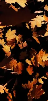 Falling autumn leaves on a dark background.