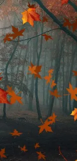 Vibrant autumn leaves falling in a serene forest setting.