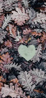 Heart-shaped leaf amid autumn leaves wallpaper.