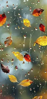Autumn leaves with raindrops on window wallpaper.