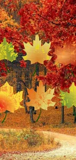 Digital maple leaves on autumn forest path wallpaper.