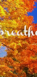 Vibrant autumn leaves with 'breathe' text.