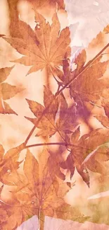 Orange autumn leaves mobile wallpaper with layered effect.