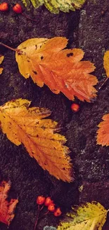 Vibrant autumn leaves on dark textured background, perfect for mobile wallpaper.