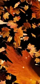 Autumn leaves swirling on a dark background with a glowing effect.