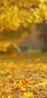 Golden autumn leaves covering the ground.