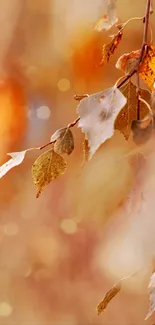 Warm autumn leaves with bokeh effect create a cozy mobile wallpaper aesthetic.