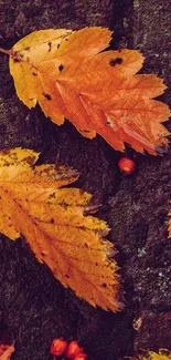 Orange autumn leaves on a dark textured surface wallpaper.