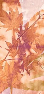 Orange autumn leaves mobile wallpaper with a warm, rustic touch.