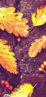 Golden autumn leaves on rustic background.