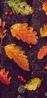 Colorful autumn leaves scattered on a rustic background.