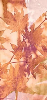 Mobile wallpaper featuring orange and pink autumn leaves.