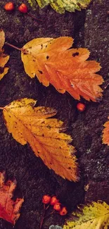 Vibrant autumn leaves on a dark textured background, perfect phone wallpaper.