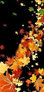 Colorful autumn leaves cascading on a dark background.