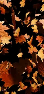 Beautiful wallpaper of autumn leaves falling on a black background.