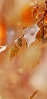 Autumn leaves in golden hues mobile wallpaper.