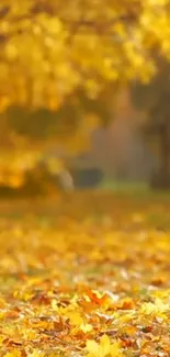 Golden autumn leaves cover the ground in a stunning nature scene.