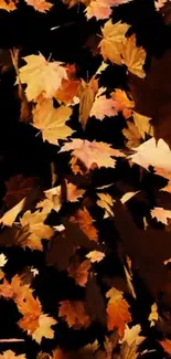 Autumn leaves falling on dark background in vibrant colors.