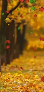 Autumn leaves falling on a forest path with vibrant colors and serene setting.