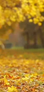 Golden autumn leaves on a serene, leafy path.