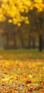 Golden autumn leaves covering a tranquil forest path.