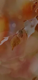 Autumn leaves wallpaper with orange hues.