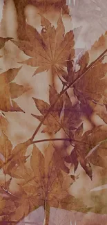 Autumn leaves wallpaper with brown tones and soft, elegant design.