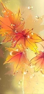 Vibrant autumn leaves with water droplets.