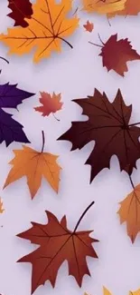 Colorful autumn leaves wallpaper for mobile.