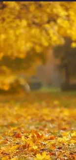 Golden autumn leaves carpet a serene landscape.