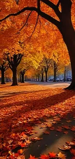 Golden autumn leaves on trees lining a sunlit path.