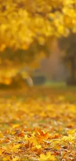 Autumn scenery with golden yellow leaves on trees and ground.