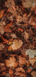 A close-up mobile wallpaper of autumn leaves in rich brown tones.