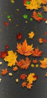 Vibrant autumn leaves on dark background wallpaper.