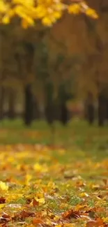 Autumn landscape with golden leaves and trees in a serene park setting.