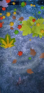 Colorful autumn leaves on a textured blue surface.