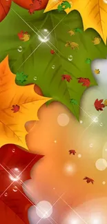 Colorful autumn leaves wallpaper with vibrant orange tones.