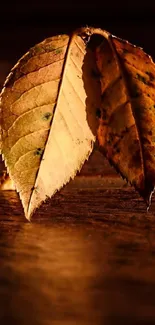 Close-up of two autumn leaves on a brown background.