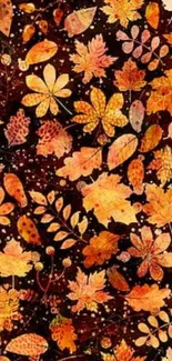 Autumn leaves on a brown background.