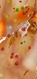 Autumn leaves with soft blurred background in orange and brown tones.